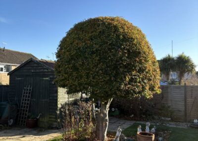 ajr lawn & garden services facebook gallery 14