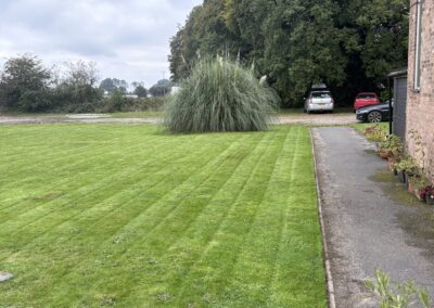 ajr lawn & garden services facebook gallery 3