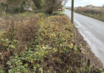 ajr lawn & garden services facebook gallery 33