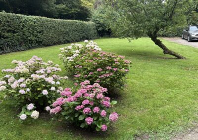 ajr lawn & garden services facebook gallery 54