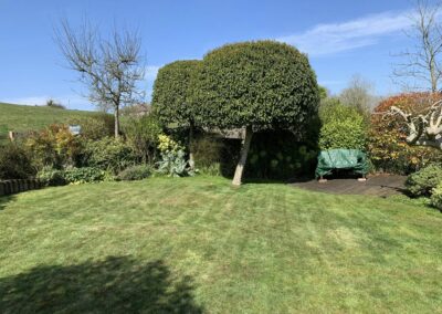 ajr lawn & garden services facebook gallery 69