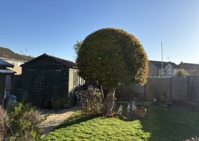 ajr lawn & garden services facebook gallery 9