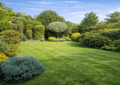 ajr lawn & garden services hero